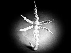 Alien FaceHugger 2