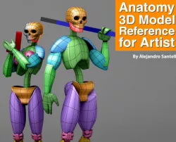 Anatomy 3D Model Reference For Artist 3D model