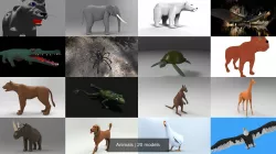 Animals 3D Model Collection