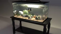Aquarium 3D model