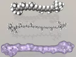 beta-Carotene molecule 3D model