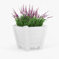 Calluna pot 3D model
