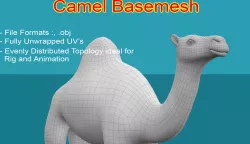 Camel Basemesh Low-poly  3D model