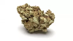 Cannabis Bud 01 3D model