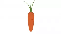 Carrot Low-poly  3D model
