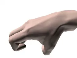 Claw Hand 3D model