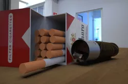 Clipper Lighter and Marlboro Cigarette Package  3D model
