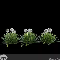 Cloudy Day 3D model
