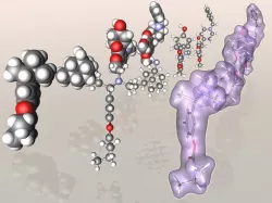 Collection of Alzheimers drug molecules 3D model