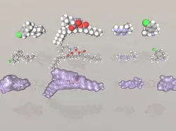 Collection of anti-obesity drug molecules 3D model
