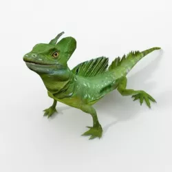 Common Basilisk Low-poly  3D model