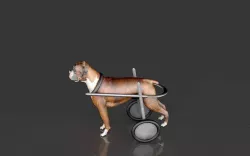 Dog Wheelchair 3D model