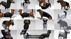 Dogs collection 