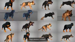 Dogs collection 