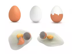 Egg Collection - 5 Models 