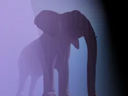 Elephant circus elephant grey 3D model