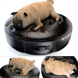 Fat dog 3D model