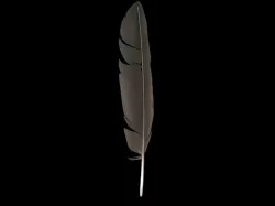 Feather 3D model