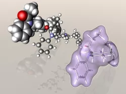 Fentanyl molecule 3D model