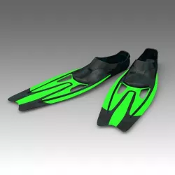 Flippers 3D model