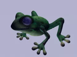 frog green tree frogs 3D model