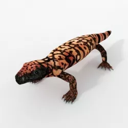 Gila Monster Low-poly  3D model