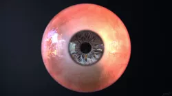 Human Eye PBR Low-poly  3D model