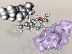Ibuprofen molecule 3D model