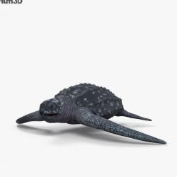 leatherback sea turtle 3d models | Page 1 | STLFinder