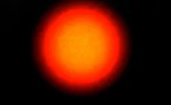 Lively sun 3D model