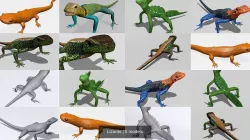 Lizards 3D Model Collection