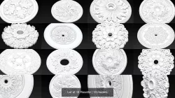 Lot of 10 Rosette 3D Model Collection