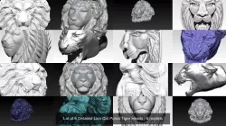 Lot of 6 Detailed Lion Cat Puma Tiger Heads 3D Model Collection