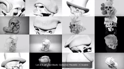 Lot of 6 detailed Skulls  Collection Realistic 