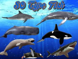 Low Poly 80 Fish Animated - Game Ready Low-poly  3D model