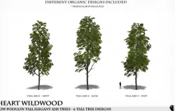 Low Polygon 3D Ash Trees Low-poly  3D model