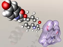 Paracetamol molecule 3D model