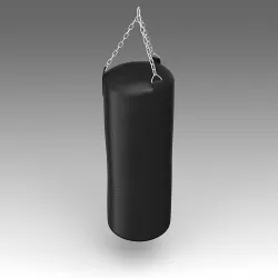 Pear Boxing 3D model