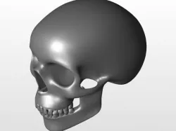 Perfect Skull  3D model