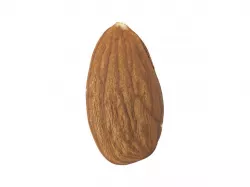 Photorealistic Almond 3D Scan 3D model