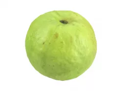 Photorealistic Guava 3D Scan 3D model