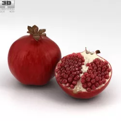 Pomegranate 3D model