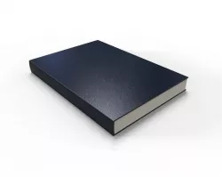 Rigged Book 3D model