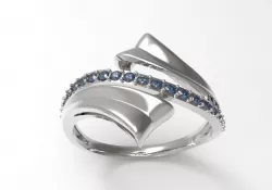Ring Wind STL 3D print model