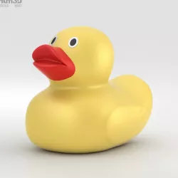 Rubber Duck 3D model