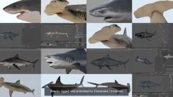 Sharks rigged and animated for Cinema4d 3D Model Collection