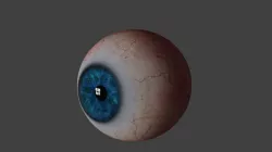 simple eye 3D model