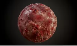 Skin Guts Bloody Burn Warts Seamless PBR Texture Texture