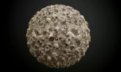 Skull Muddy Seamless PBR Texture Texture