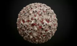 Skulls Muddy Bloody Seamless PBR Texture Texture